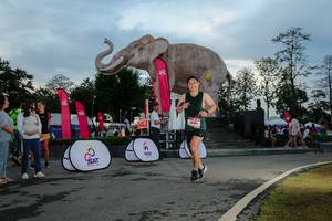 BIB: 
                            <button type="button" onclick="openModal(26529417)" class="btn btn-primary btn-sm float-right btn-popup" data-toggle="modal" data-target=".modal-high-quality">
                        <i class="fas fa-shopping-cart"></i> Add to Cart
                    </button>
                                            <button type="button" onclick="isThisMe(26529417, true)" class="btn btn-success btn-sm float-right btn-popup btn-isme hidden" data-toggle="tooltip" data-placement="bottom" title="นี่คือรูปของคุณใช่ไหม คลิกที่นี่เพื่อเอาเข้าอัลบั้ม">
                        <i class="fas fa-plus"></i> Add to album
                    </button>
                    <button type="button" onclick="isThisMe(26529417, false)" class="btn btn-warning btn-sm float-right btn-popup btn-isnotme hidden">
                        <i class="fas fa-ban"></i> Remove from album
                    </button>